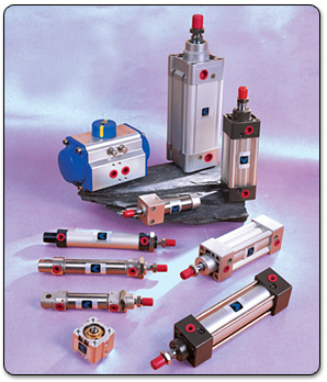 Standard Cylinder, Rotary Cylinder
